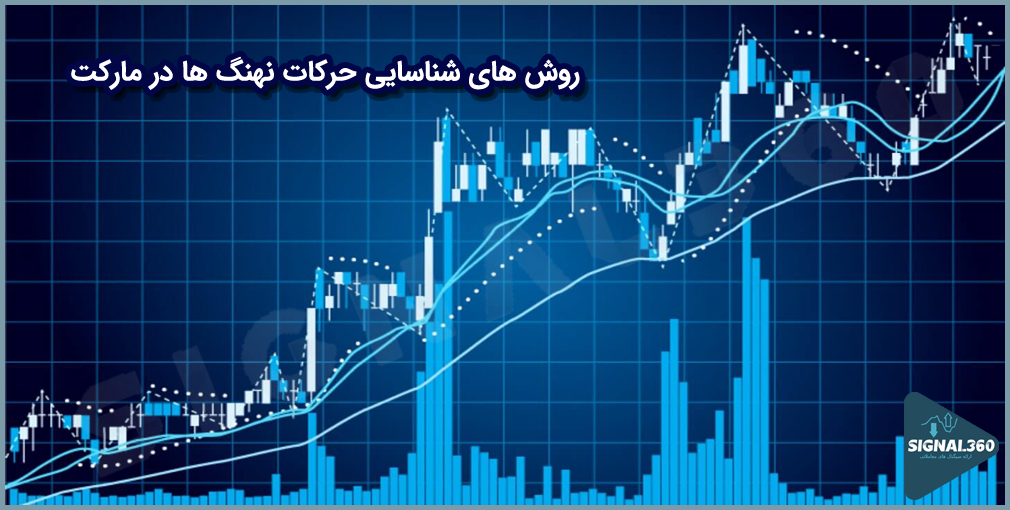 Methods for identifying whales movements in the market